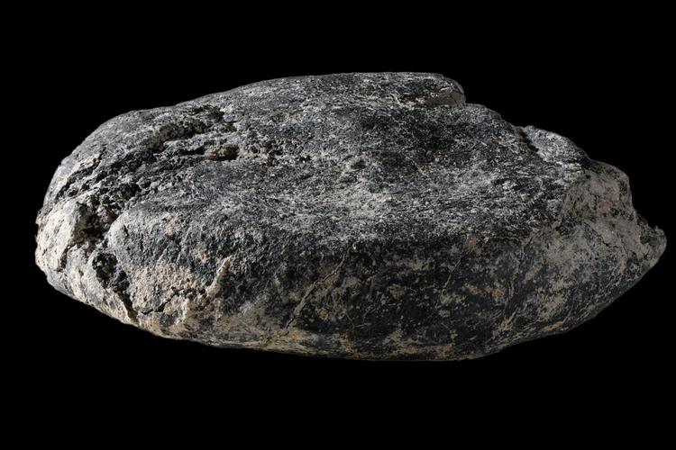 Blackened bread loaf found at Roman military camp