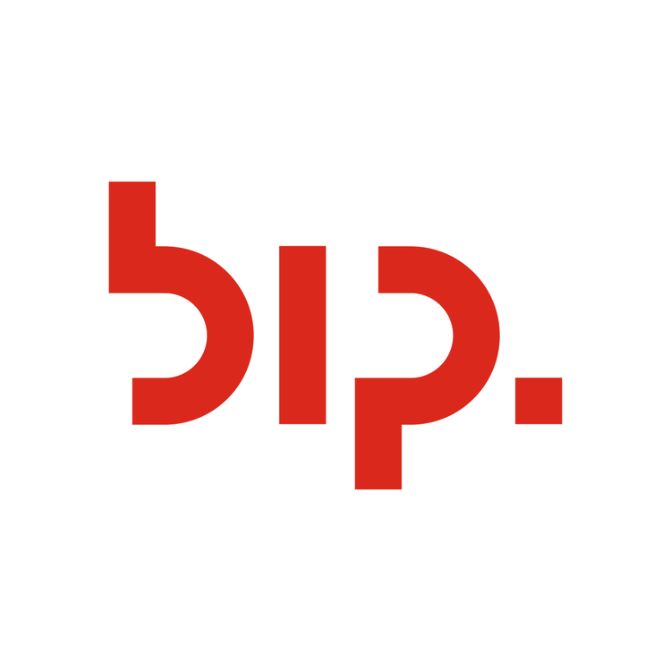 BIP CONSULTING