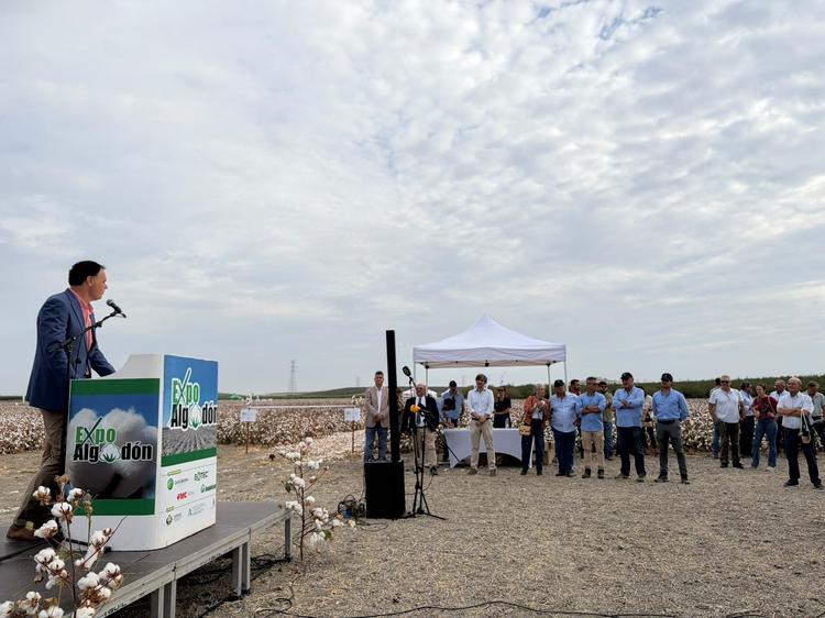 Lebrija acoge la XIII edición de Expoalgodón, un encuentro de referencia para el sector algodonero