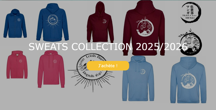  Ça y est, les sweats à capuche (hoodies), les vestes zippées et les tote bags Barthou sont là ! 