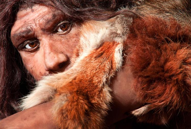 Ice Age spearheads reveal how early Americans adapted to new landscapes