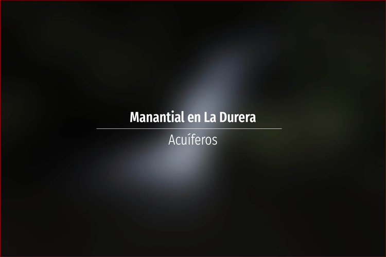 Manantial en La Durera