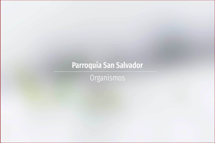 Parroquia San Salvador