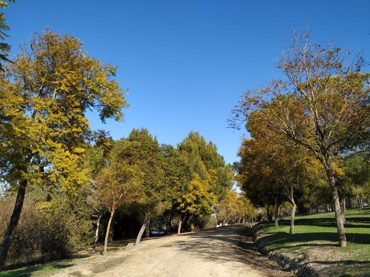 El Parque de San Benito abrirá el próximo lunes, 2 de noviembre, día de fiesta