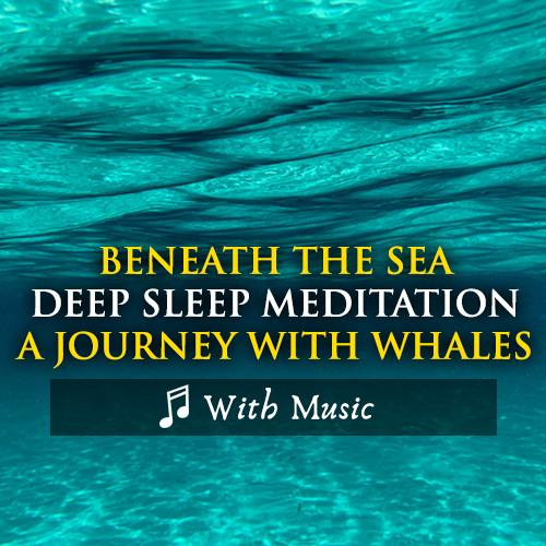 Swimming With Whales Sleep Journey - With Music
