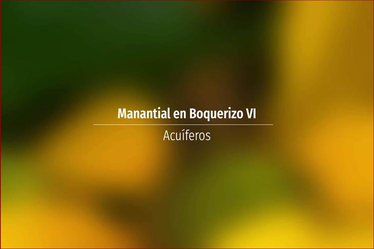 Manantial en Boquerizo VI