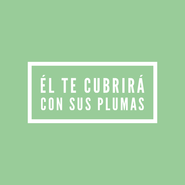 Hoy el reto del amor es que, en medio de la tormenta, te aferres y refugies en Cristo