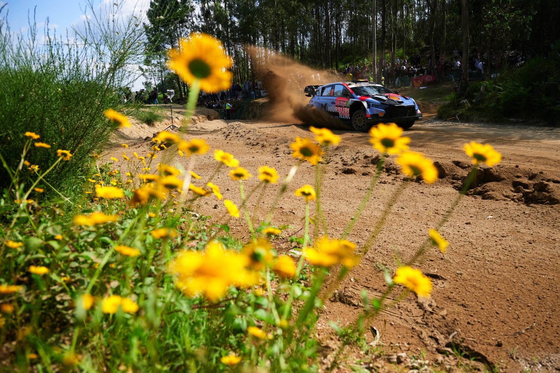 Thierry Neuville: 