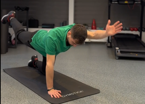 #15 Din patrupedie mână – picior opus (Quadruped opposite arm and leg reach)
