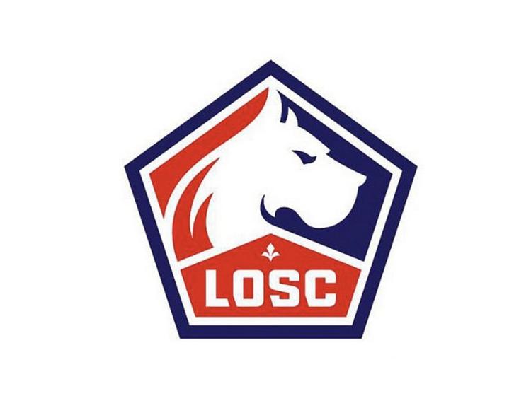 LOSC : Assister à un Match au Stade Pierre-Mauroy 2026