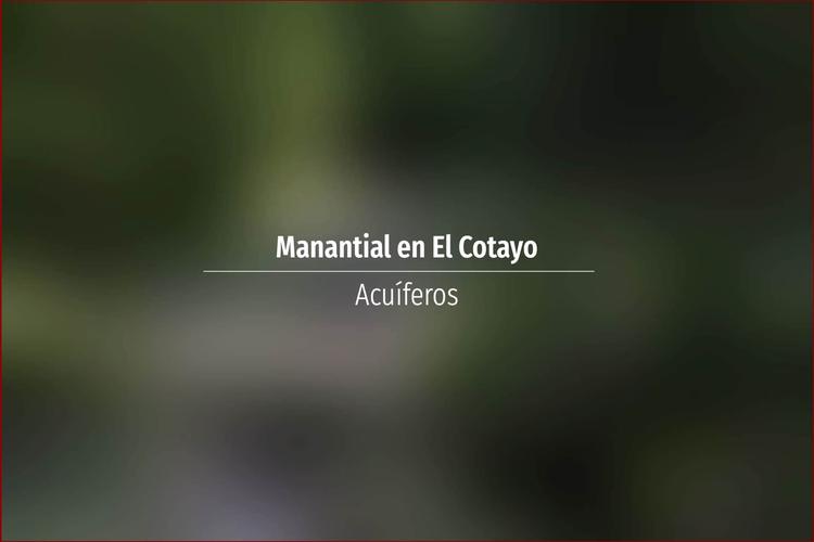 Manantial en El Cotayo