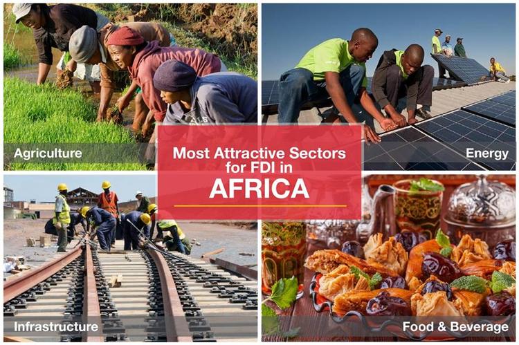  Africa remains one of the biggest developing economies in the world, with an expected foreign direct investment (FDI)