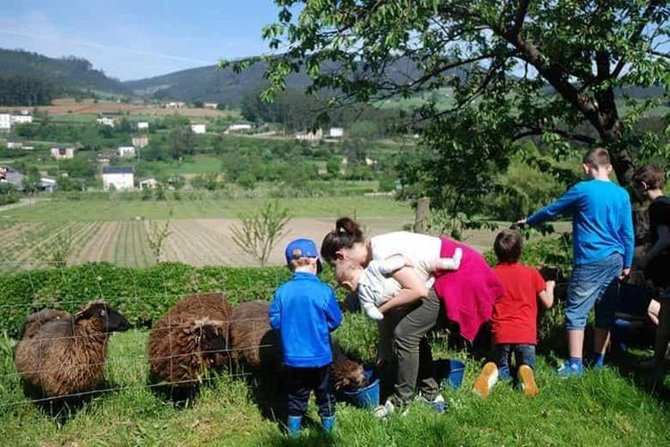 Granjas con visitas guiadas en Asturias: queso Cabrales, razas autóctonas y agroturismo familiar