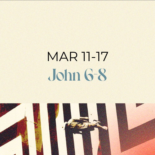 John 6-8