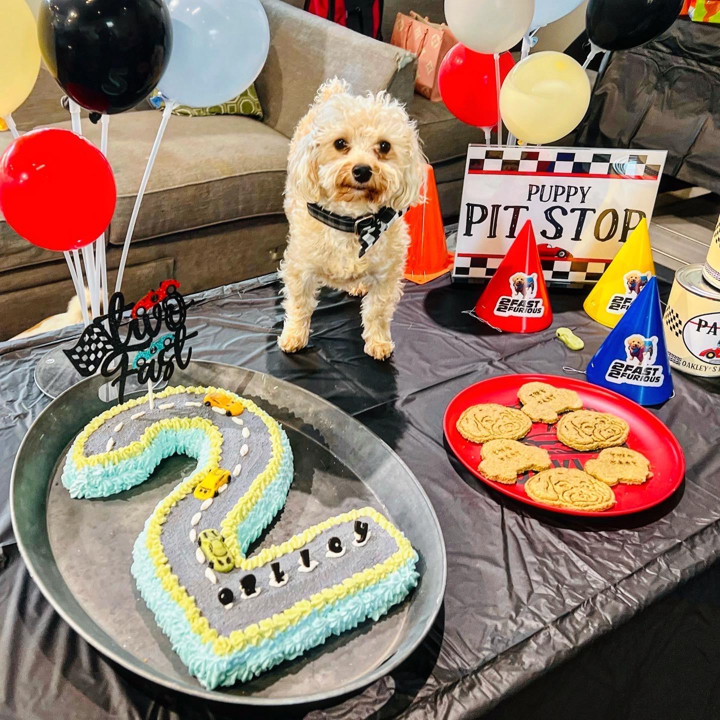 How to Throw the Ultimate Dog 'Pawty' Bash!"