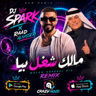 مالك شغل بيا - رعد الناصري  DJ SPARK