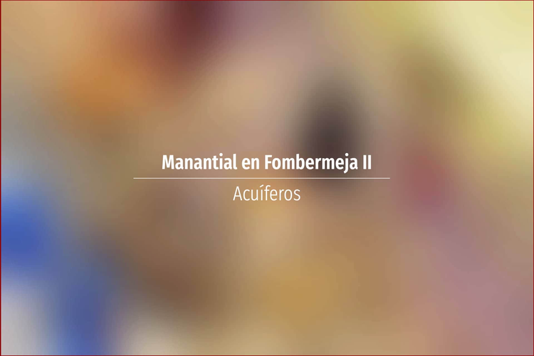 Manantial en Fombermeja II