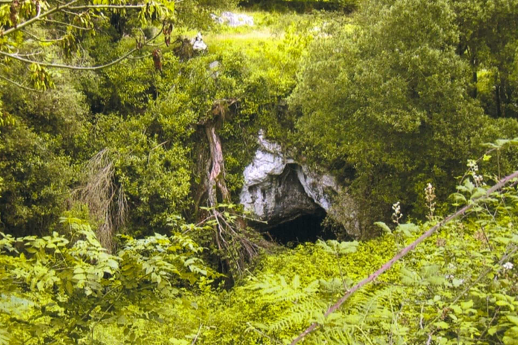 Cueva del Tebellín
