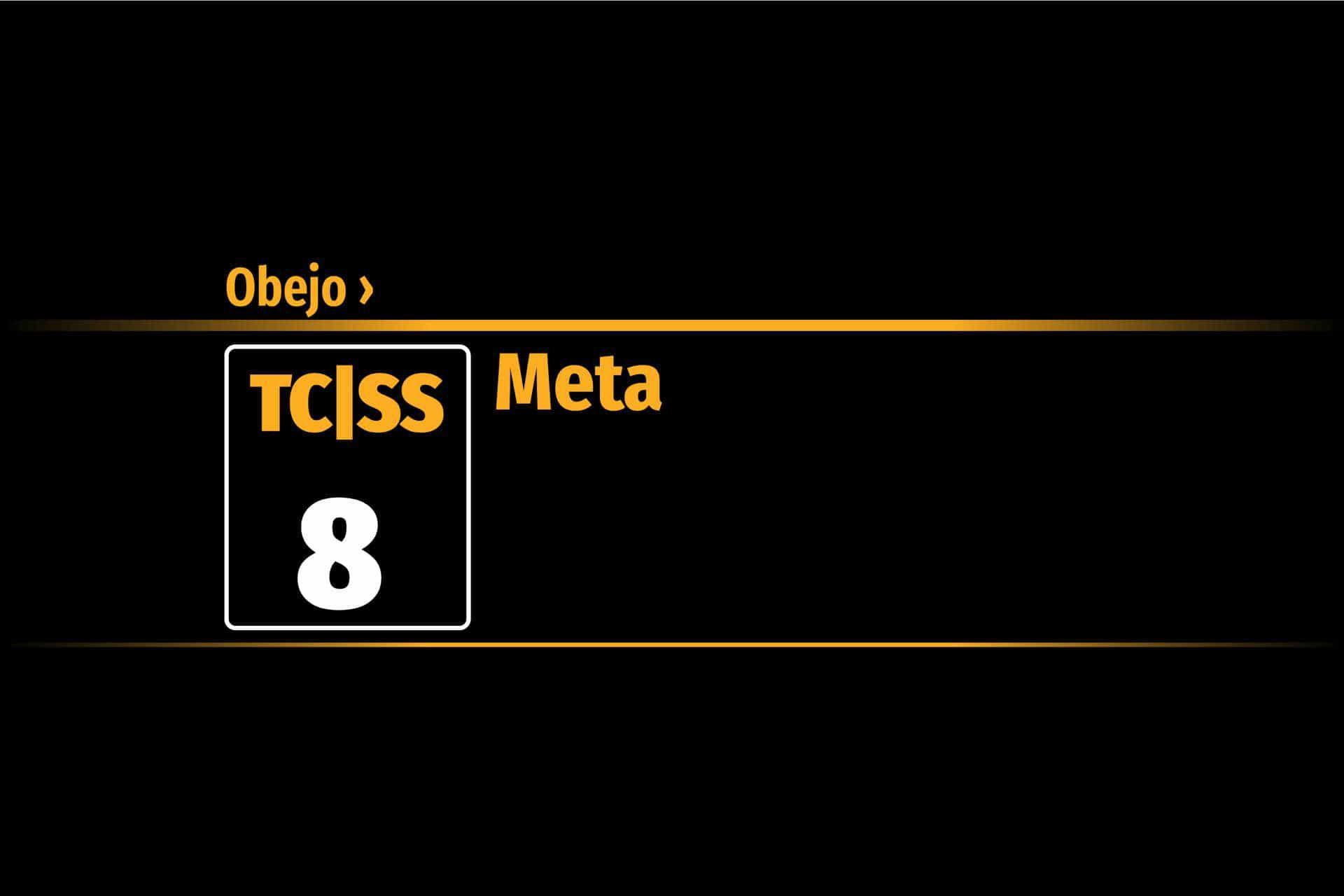 Tramo 8 &nbsp;›&nbsp; Obejo | Meta