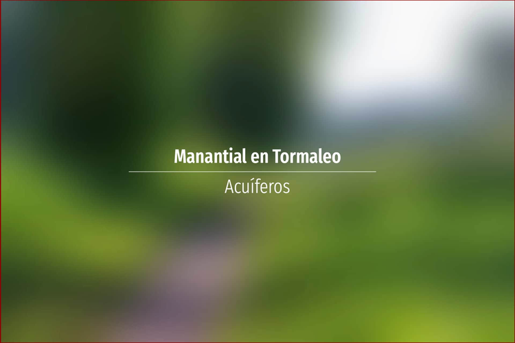 Manantial en Tormaleo