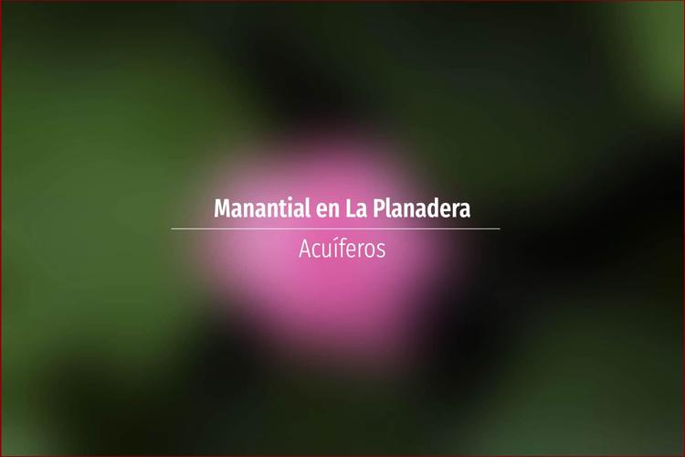 Manantial en La Planadera