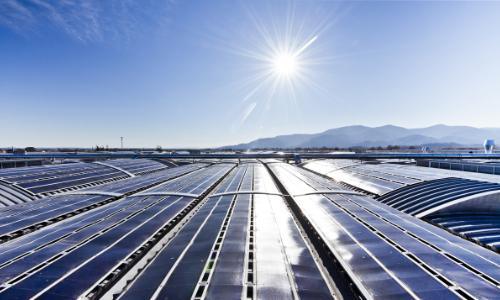 SOFIDEL and WWF ITALY renew their partnership on climate and energy, responsible sourcing, and awareness-raising activities