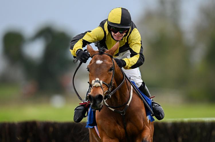 Aintree winner stripped of victory after whip breach