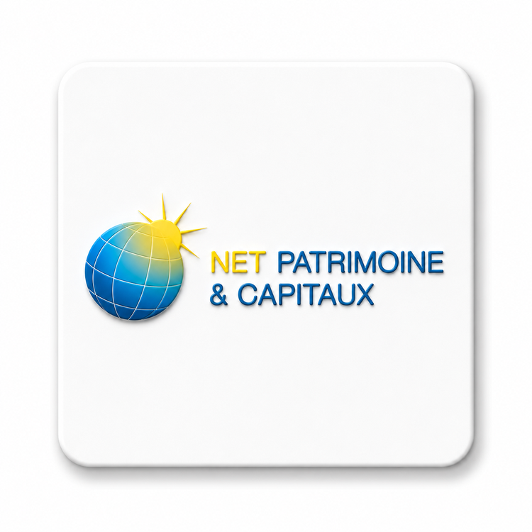 BOX 2 : NET PATRIMOINE CAPITAUX