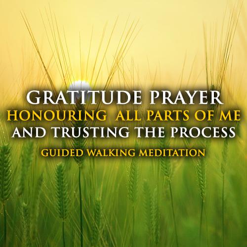 Embracing Yourself & Trust The Process Walking Meditation