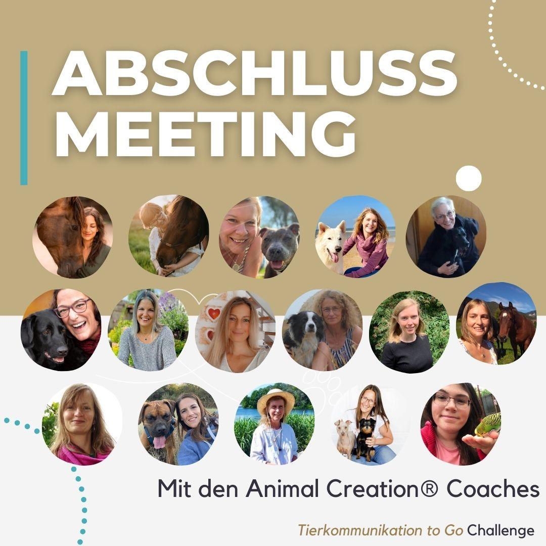 Abschluss-Meeting mit den Animal Creation® Coaches