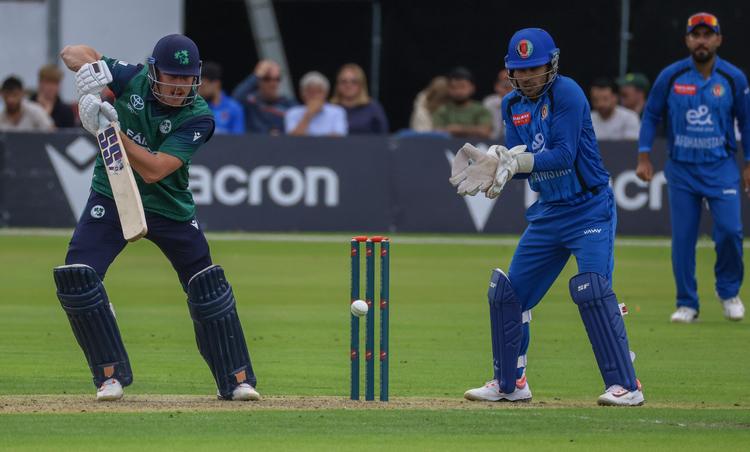 Belfast Wolves make winning start to new European cricket league