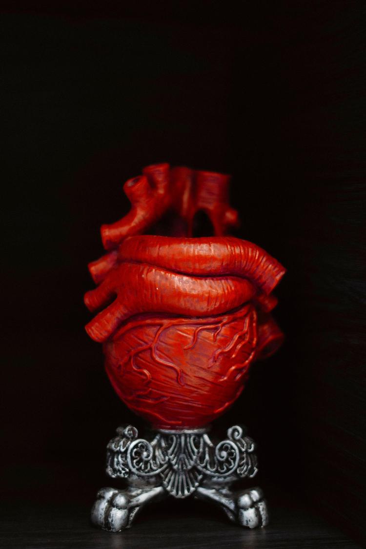 Wisdom In The Heart: Proverbs 2:10-11