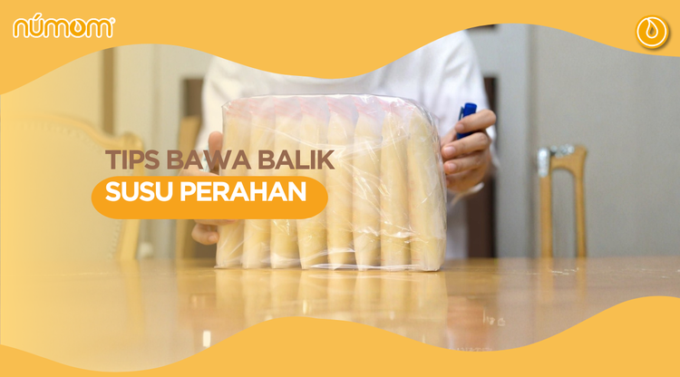 TIPS BAWA BALIK SUSU PERAHAN (Bercuti Panjang)