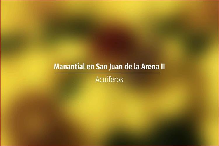 Manantial en San Juan de la Arena II