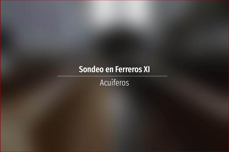 Sondeo en Ferreros XI