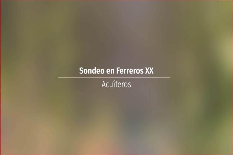 Sondeo en Ferreros XX