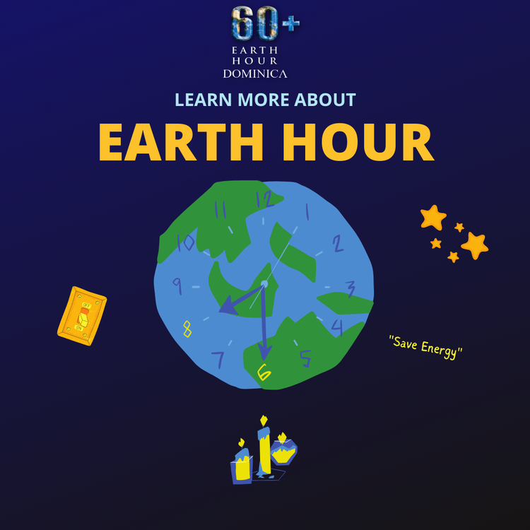 What is Earth Hour? 