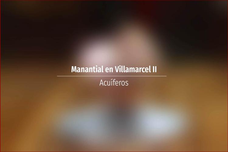 Manantial en Villamarcel II