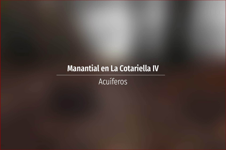 Manantial en La Cotariella IV