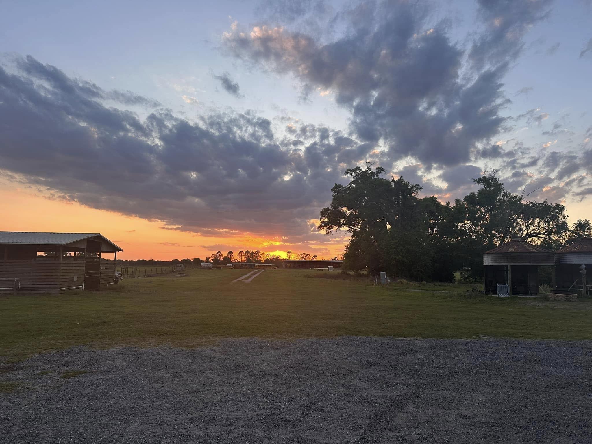 Florida Man visits T.J. Harper Farm to see how they’ve been operating for over a century