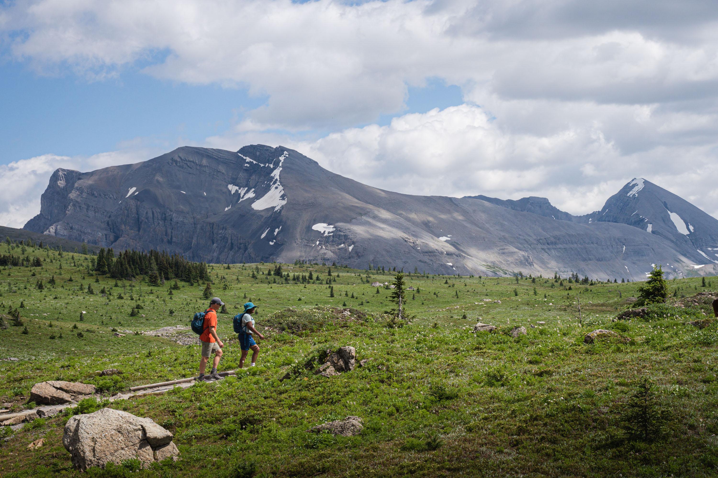 Off the Grid, On Purpose