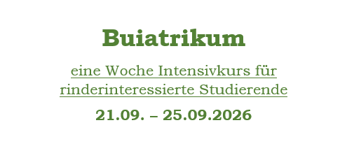 Buiatrikum - eine Woche Intensivkurs für rinderinteressierte Studierende (21.09. – 25.09.2026)