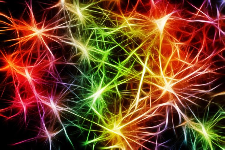 Accendere un neurone con un raggio di luce: il Nobel per la Medicina va all'optogenetica