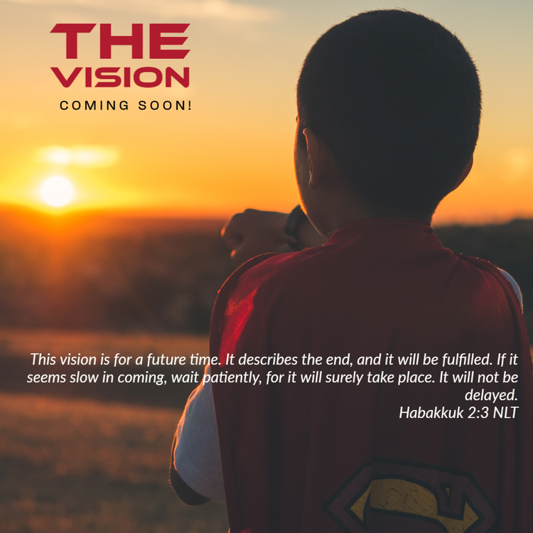 The Vision....COMING SOON!