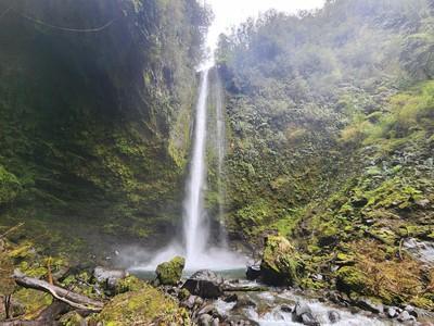 Sendero La Cascada Puerto Varas en Llanquihue, Llanquihue, Sur de Chile