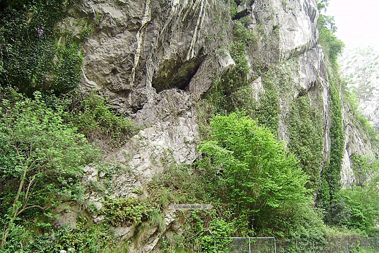 Cueva de Entrefoces o del Molín