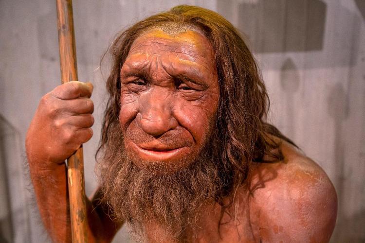 Neanderthal remains identified in Polish cave