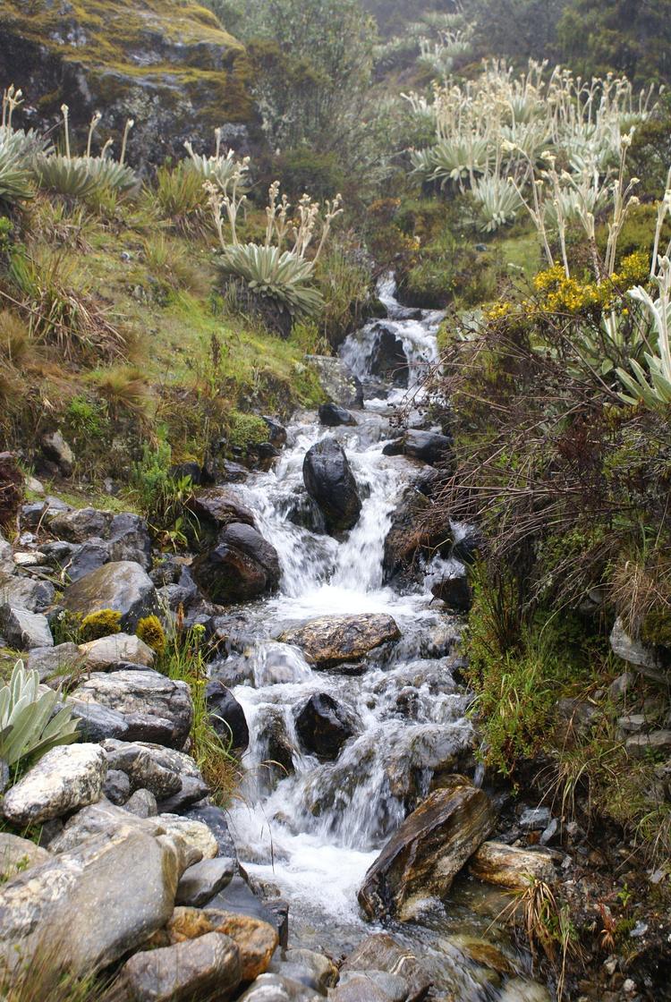 MANANTIAL DE AGUAS