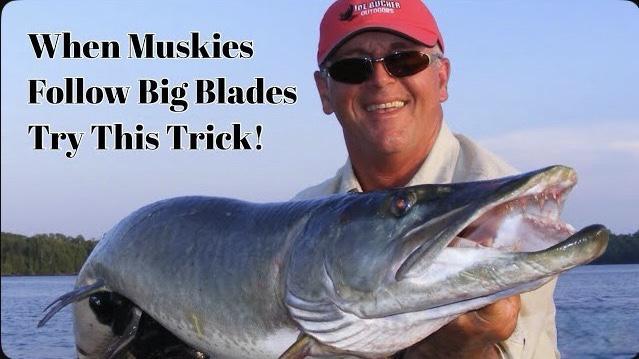 When Muskies Follow Big Blades — Try This! 