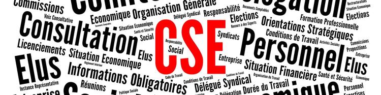 Avenir des Activités Sociales  du CSE Lardy